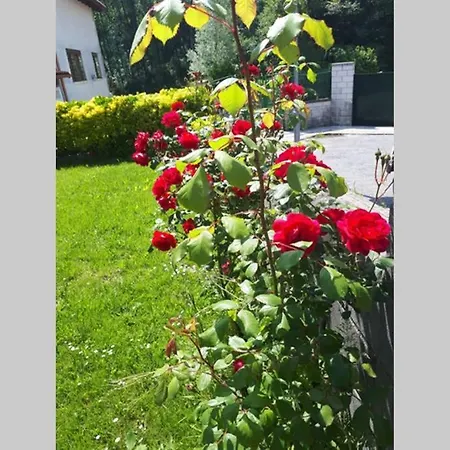 度假居 Familias 10 Huespedes Noja Playas, Mascotas Bienvenidas Beranga