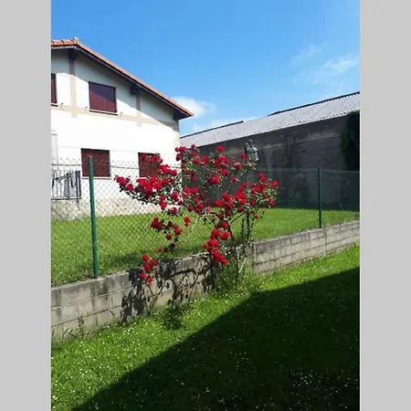 Familias 10 Huespedes Noja Playas, Mascotas Bienvenidas * Beranga