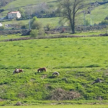 Familias 10 Huespedes Noja Playas, Mascotas Bienvenidas 度假居 *