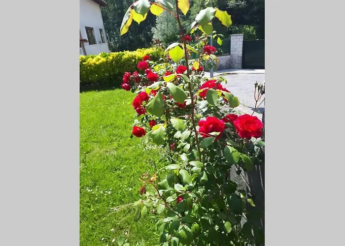 Holiday home Familias 10 Huespedes Noja Playas, Mascotas Bienvenidas Beranga