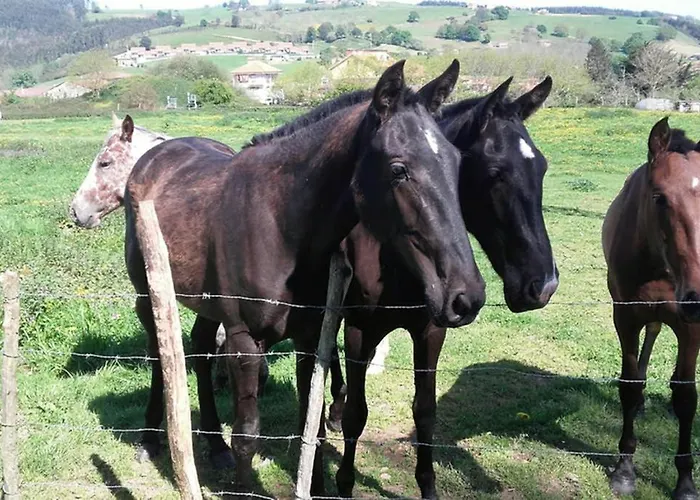 Holiday home Familias 10 Huespedes Noja Playas, Mascotas Bienvenidas *