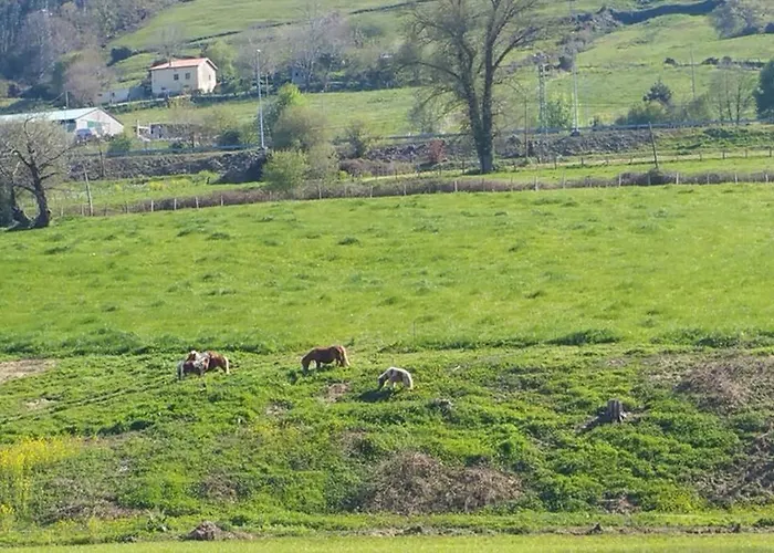 Familias 10 Huespedes Noja Playas, Mascotas Bienvenidas Holiday home *