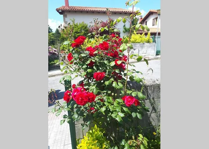 Holiday home Familias 10 Huespedes Noja Playas, Mascotas Bienvenidas *